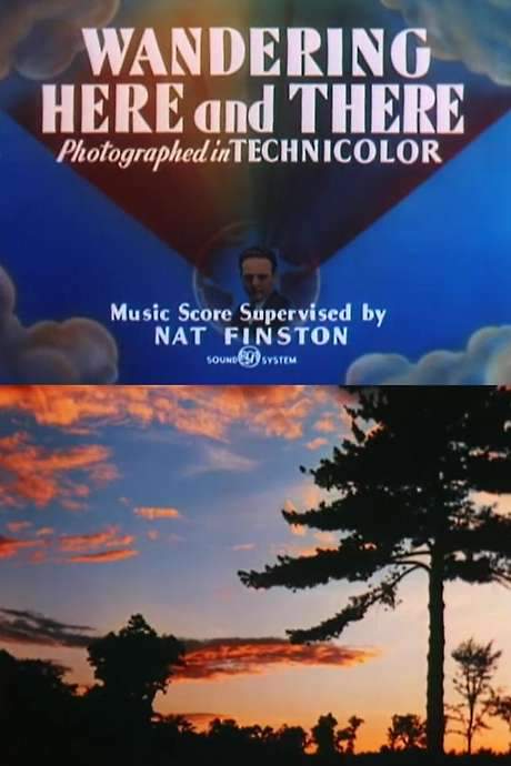 Wandering Here and There